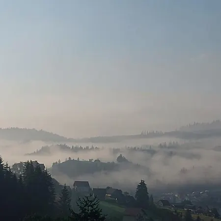 Panorama Daire *