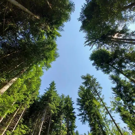 Daire Panorama Bukovel