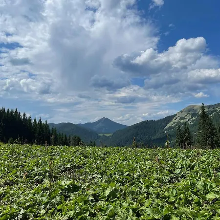 Panorama Буковель