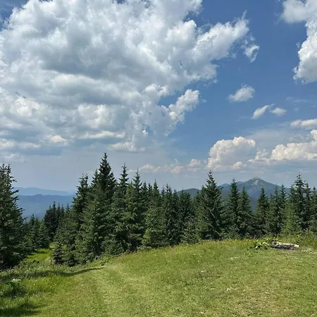 Panorama