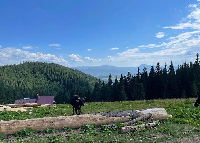 Lägenhet Panorama