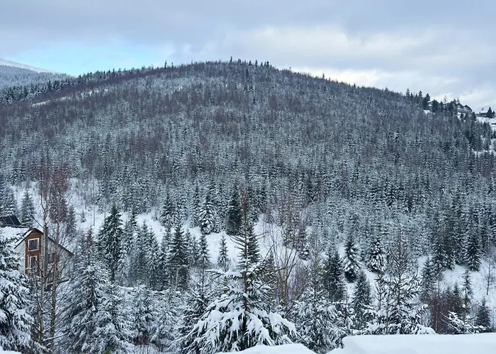 Lägenhet Panorama Bukovel